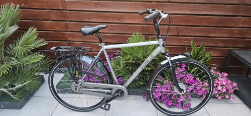 Gazelle Paris C7+ Herenfiets