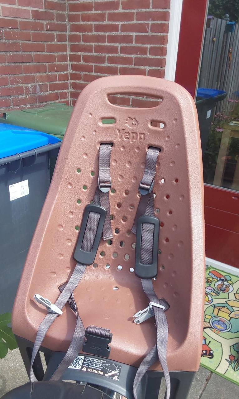 Thule Yepp Maxi Easyfit fietsstoeltje voor een max gewicht van 22 kg.