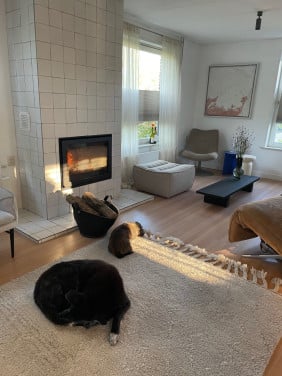 Gedroogd openhaardhout te koop