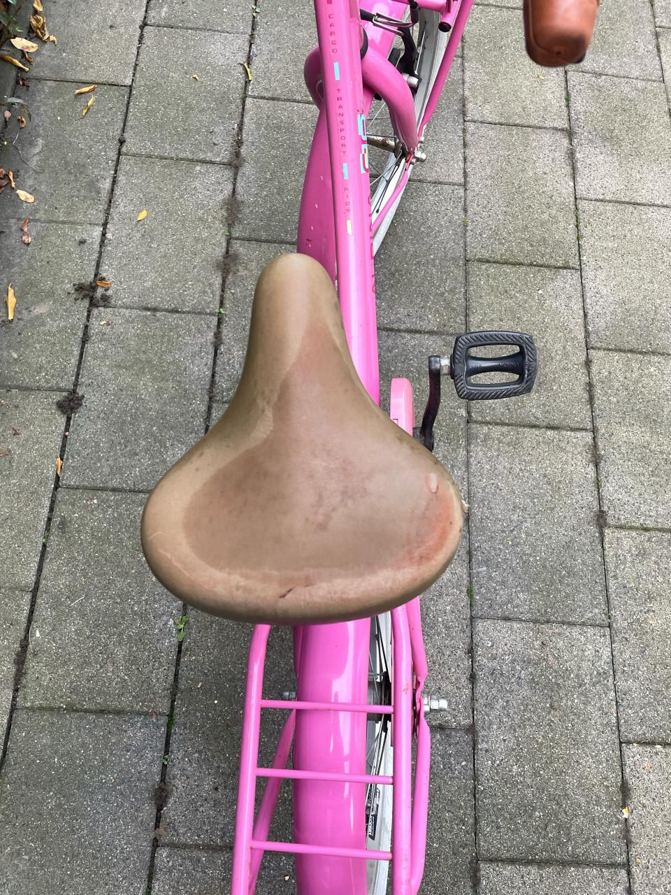 Meisjes fiets Alpina 18 inch