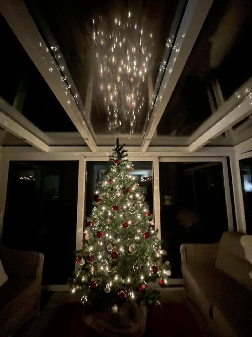 Kerstboom voor mensen met kleine beurs