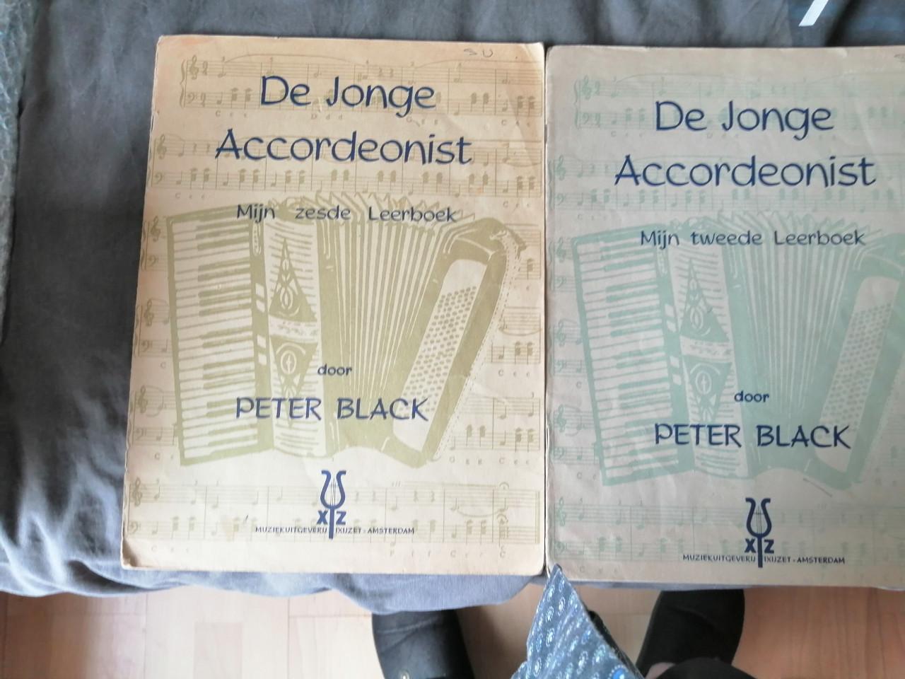 De jonge accordeonist