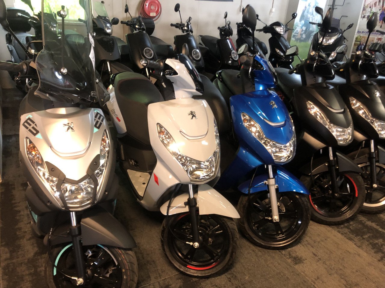 GROOTAANBOD 120X PIAGGIO ZIP VESPA SPRINT AEROX PEUGEOT SPEEDFIGHT KISBEE