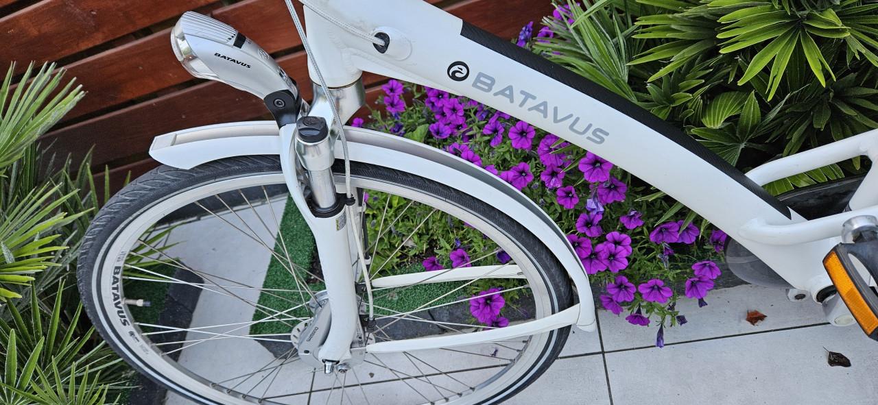 Batavus Mambo  7 Damesfiets