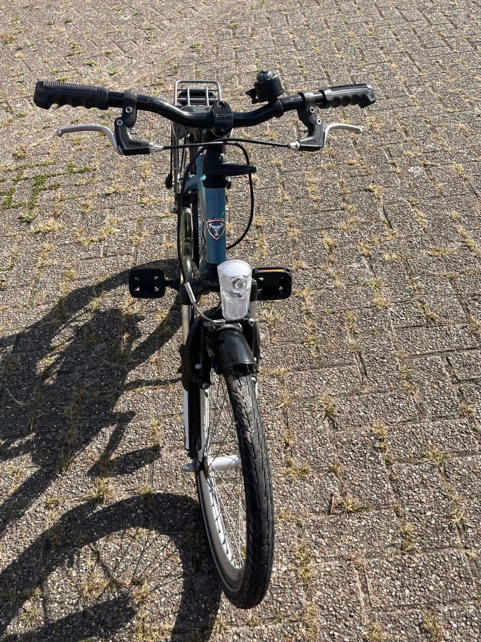 Alpina Yabber 20 inch