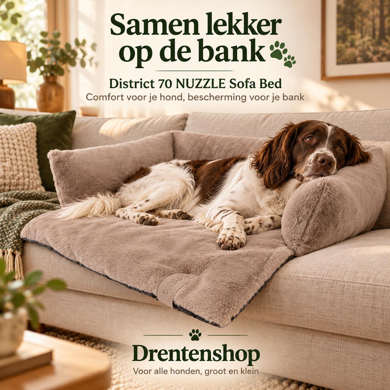 Hondenmanden
