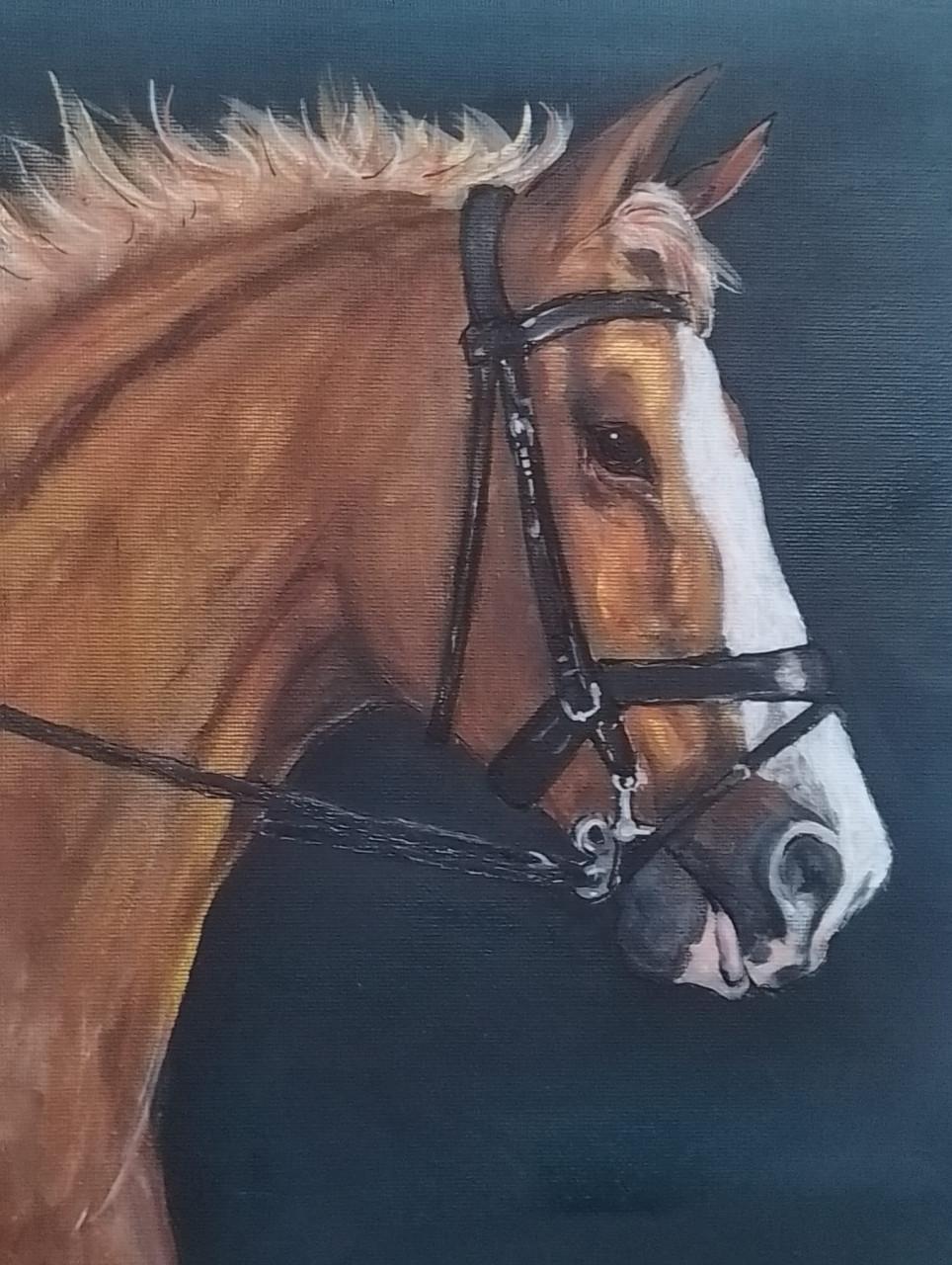 Dierportretten in acryl op canvas vanaf € 75,00
