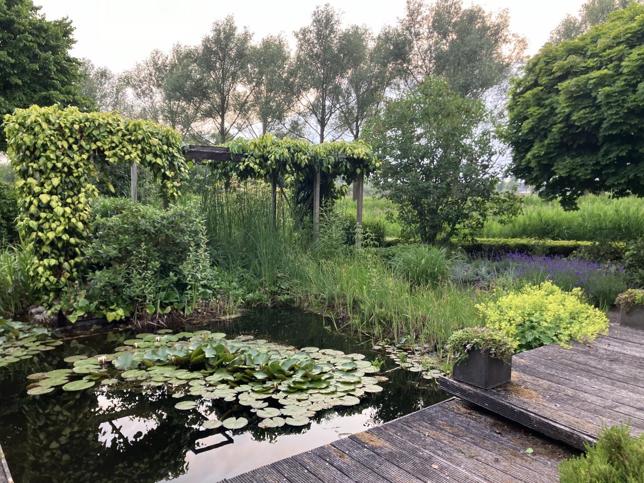 Professioneel Tuinonderhoud Walcheren & Zuid-Beveland | Vaste Prijzen!