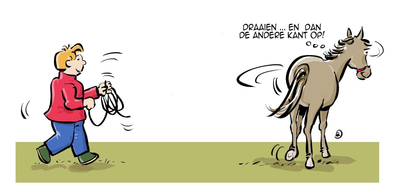 Originele (handgetekende!) illustratie of cartoon gezocht?