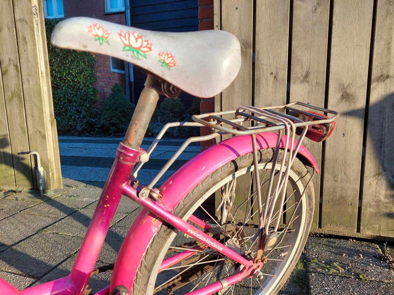Meisjes fiets