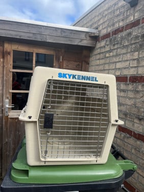 Reisbench voor honden
