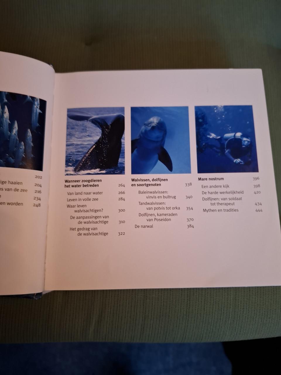 Vissen en walvissen, 1001, foto's, red. Pascal Deynat, blokboek