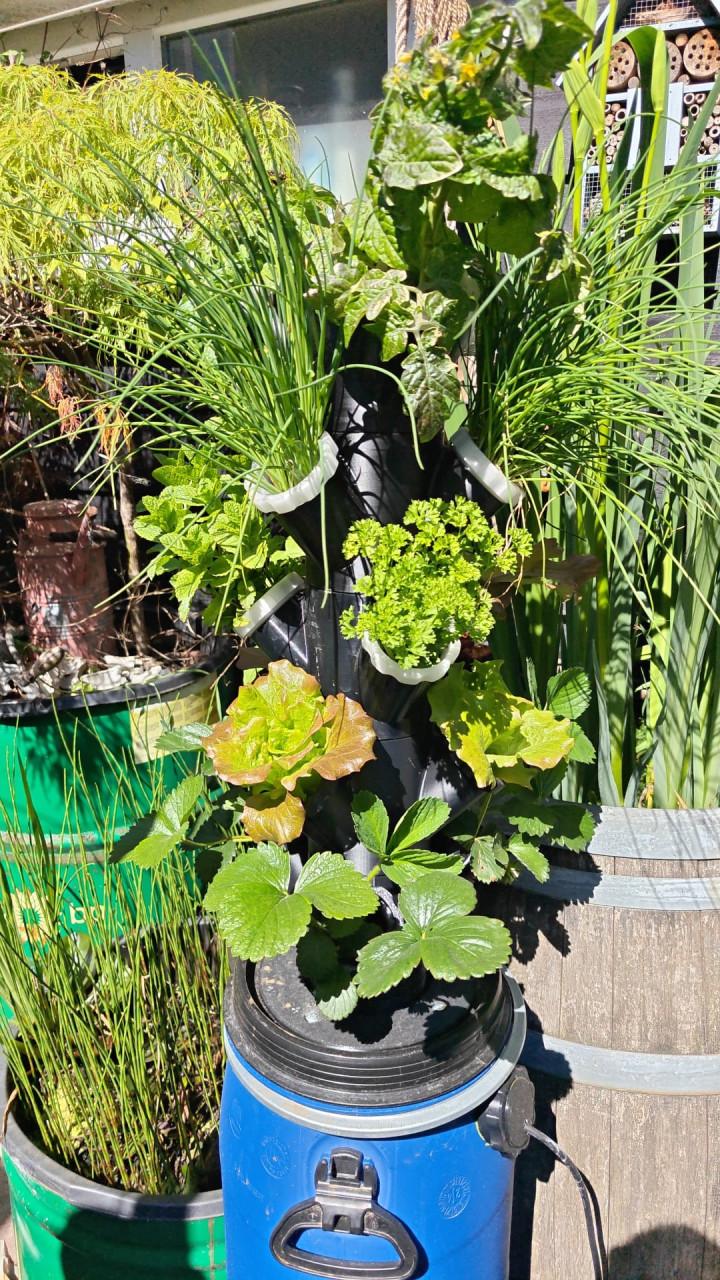 Verticaal tuinieren