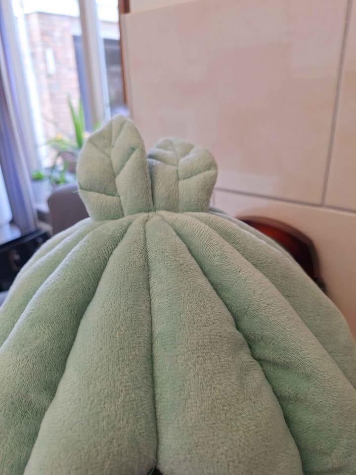 Kattenmand in nieuwstaat