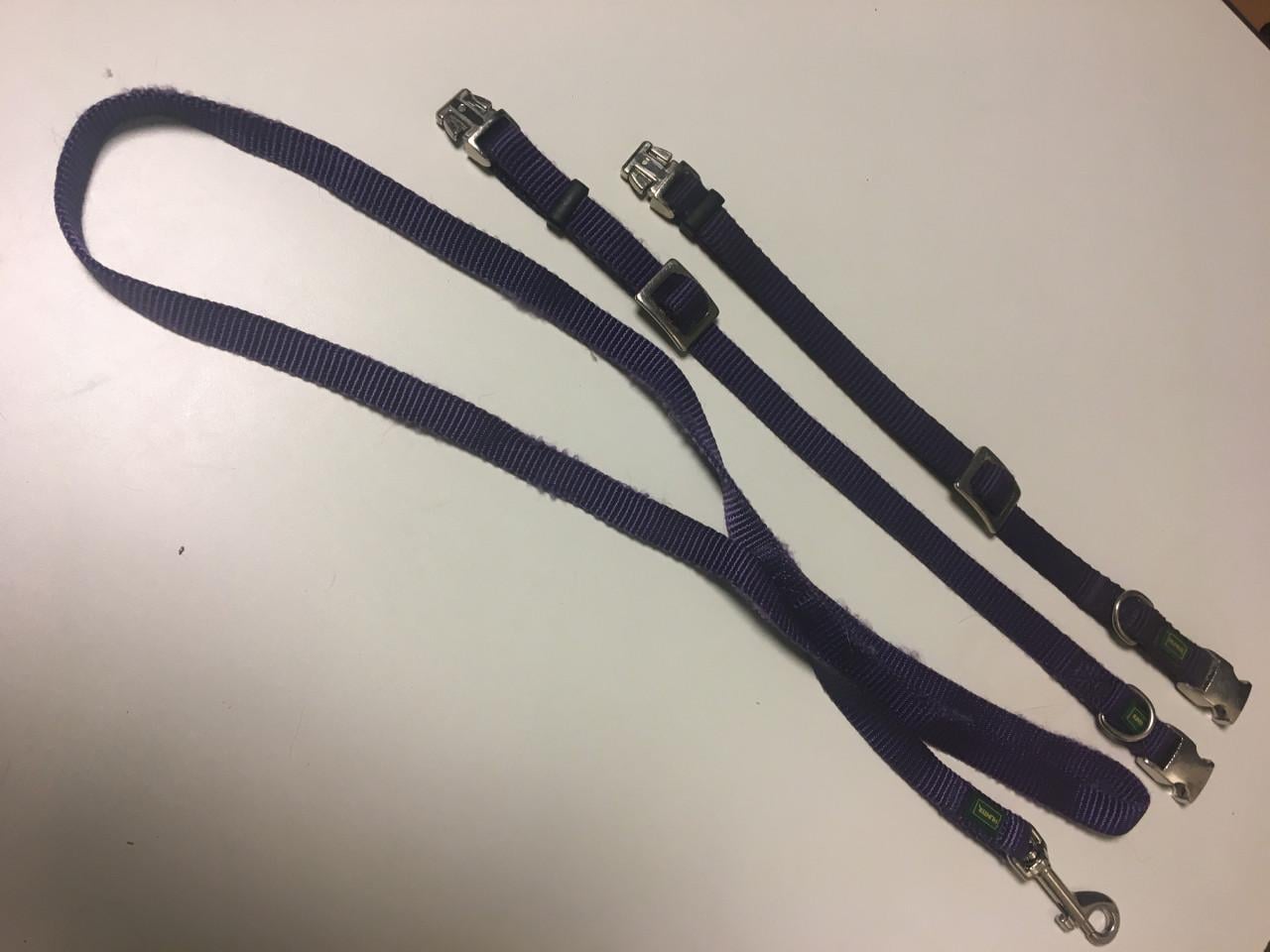 ZGAN HUNTER Degelijk Puppy Bandjes en Looplijn IZGS!!