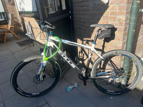 Mountainbike bulls