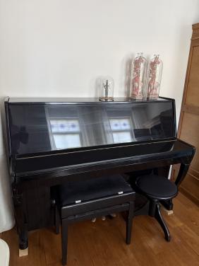 Neumann piano
