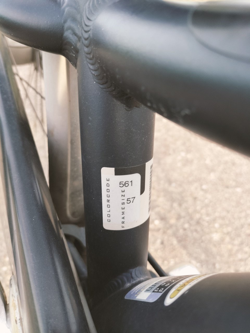 Batavus & Sparta damesfietsen