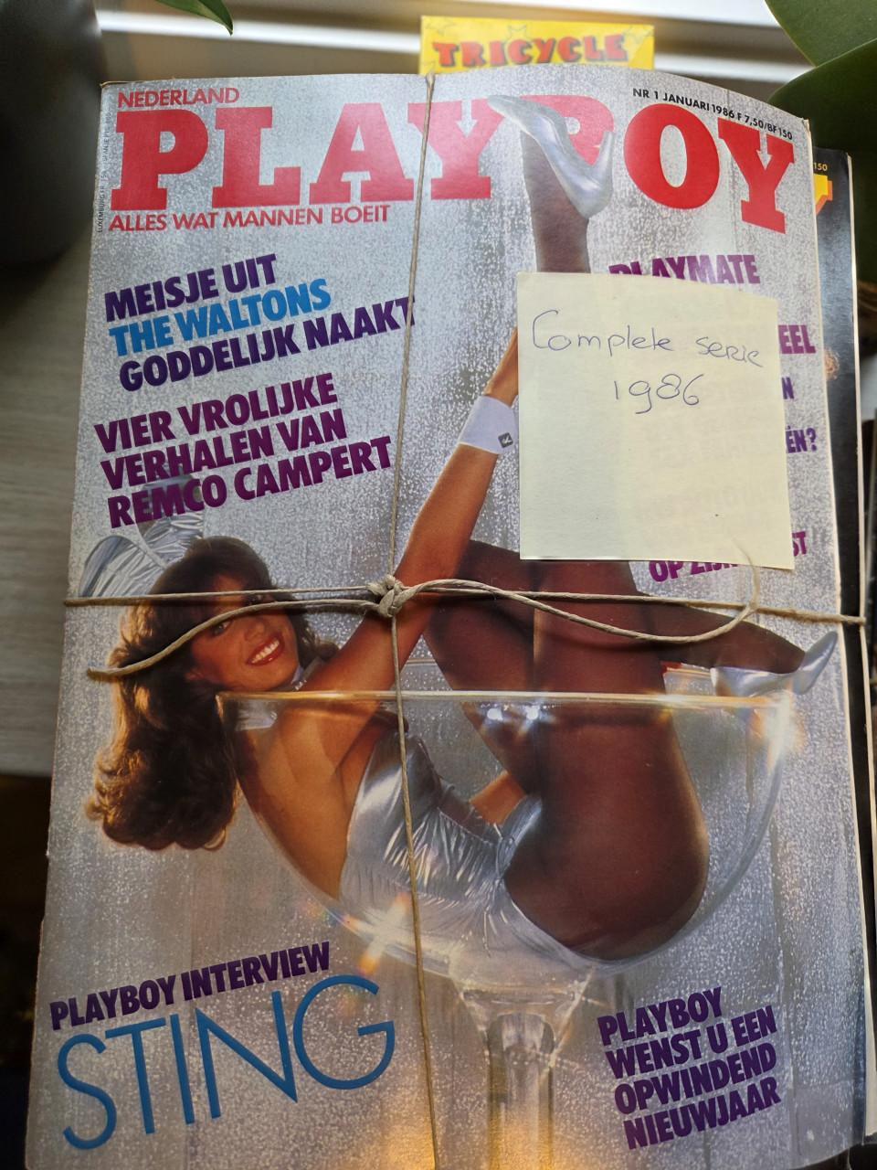 Vintage playboys complete series