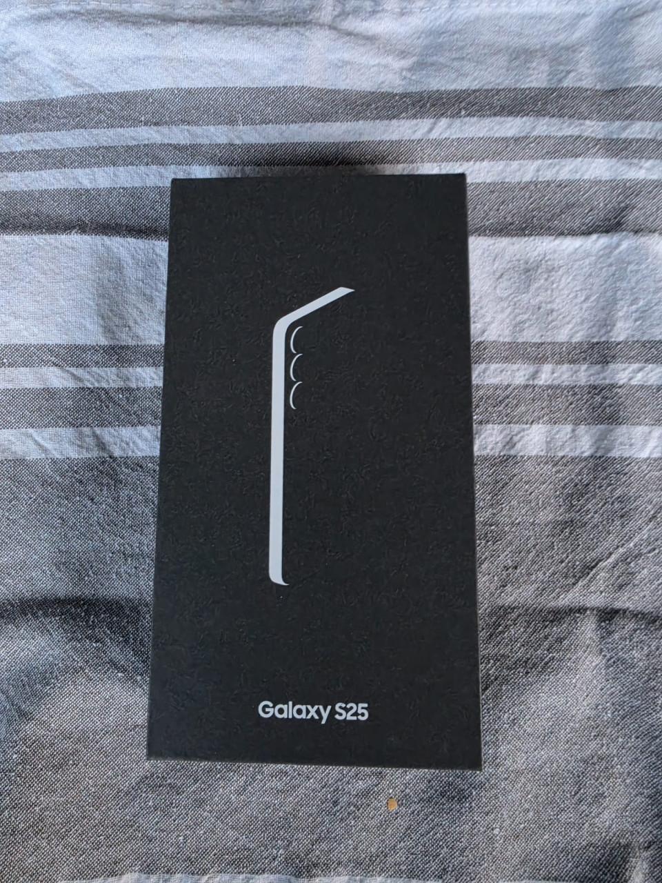 Samsung Galaxy S25