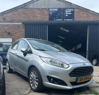 Ford Fiesta 1.0 Airco, Cruise, Leer 2013