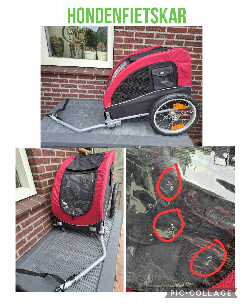 Hondenfietskar