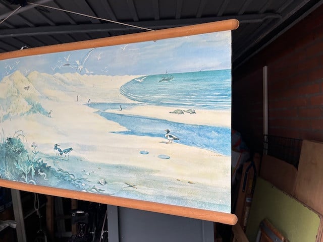 Schoolplaat Natuur, stand en zee