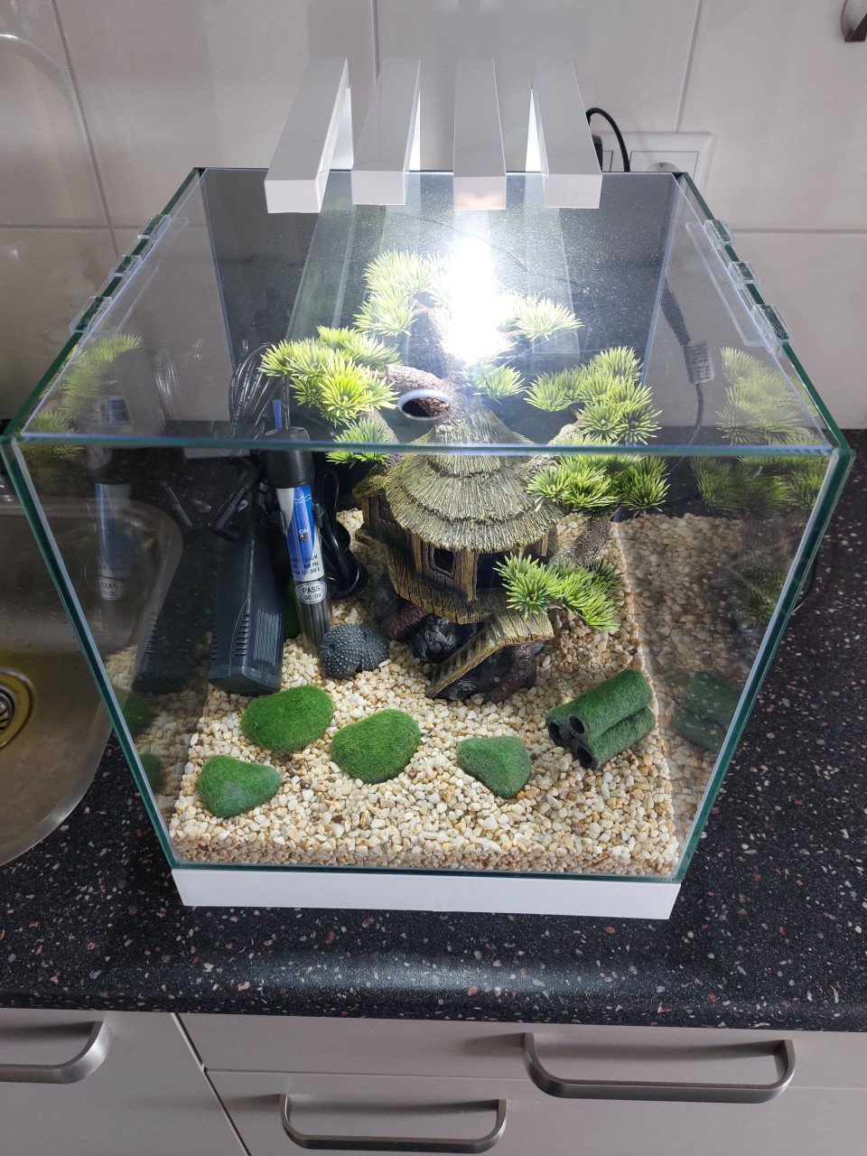 Ciano nexus 25 pure led NIEUWSTAAT