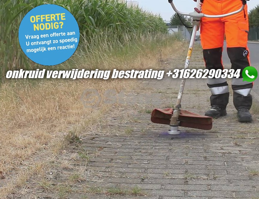Onkruid verwijdering , maai en snoeiwerk