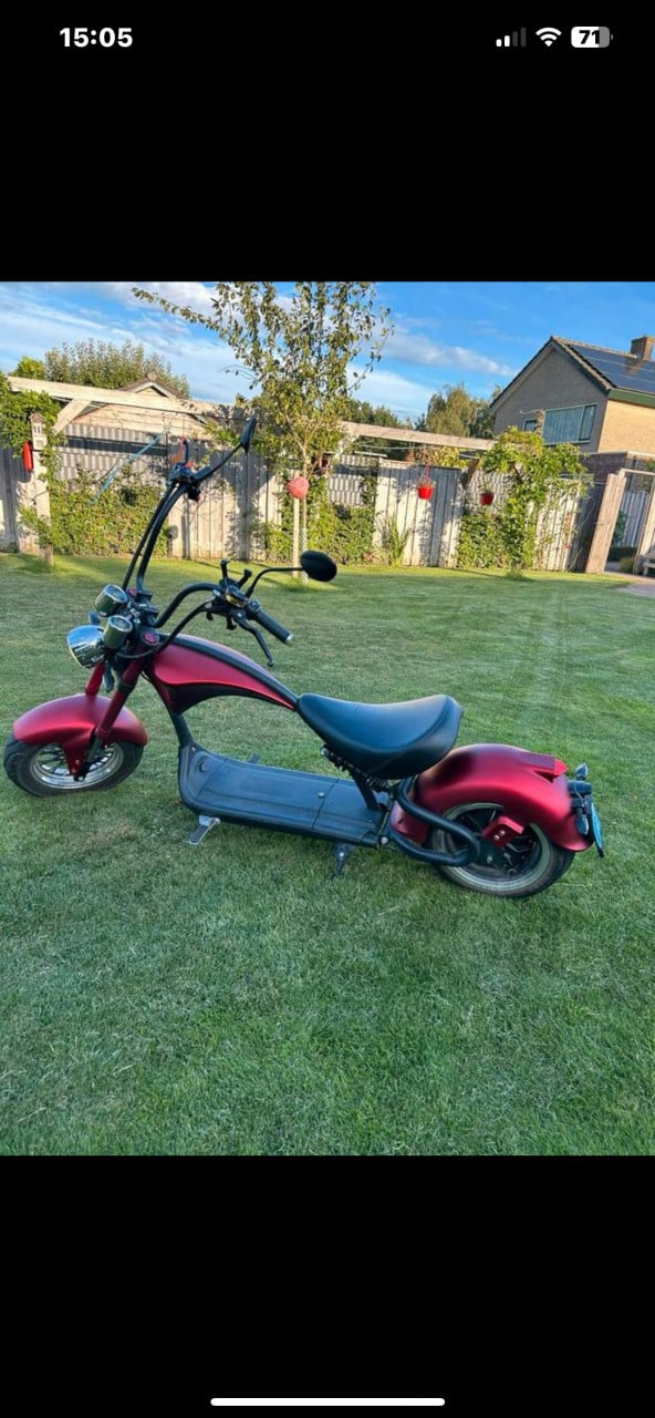 E- Chopper mangostone m1