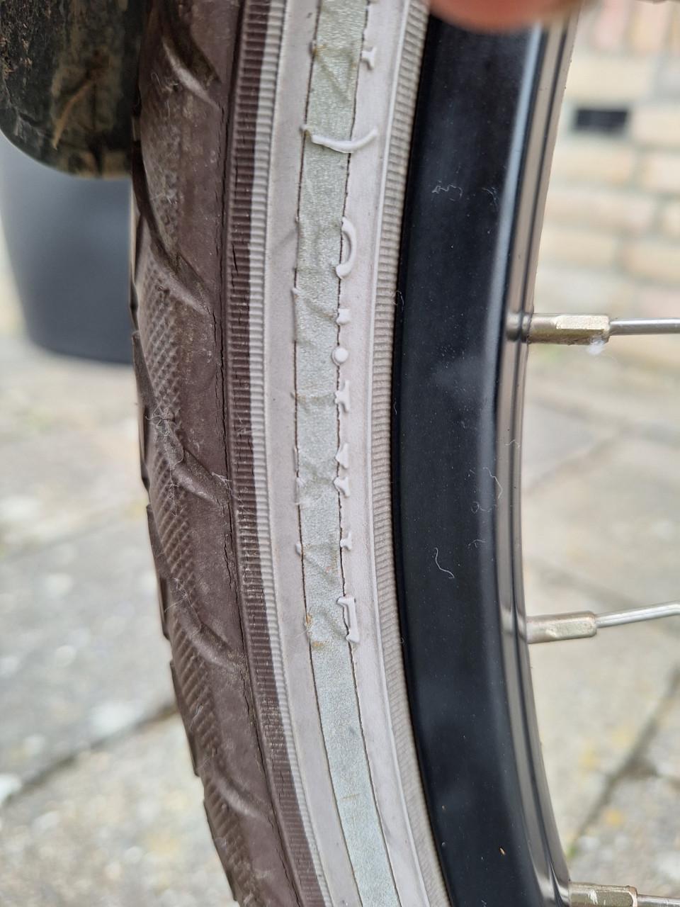 Cortina meisjesfiets 24