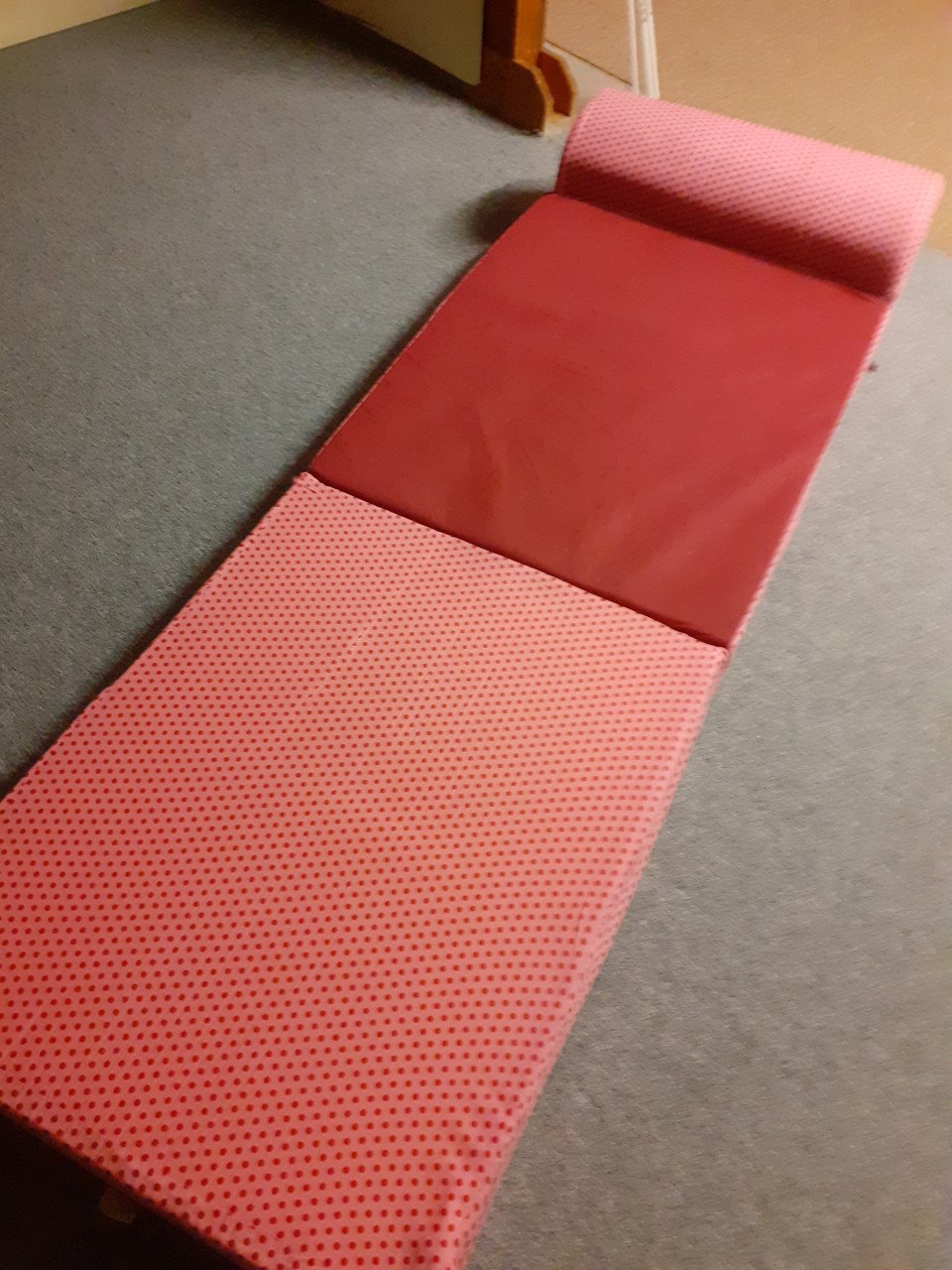 Zit/slaap matras roze