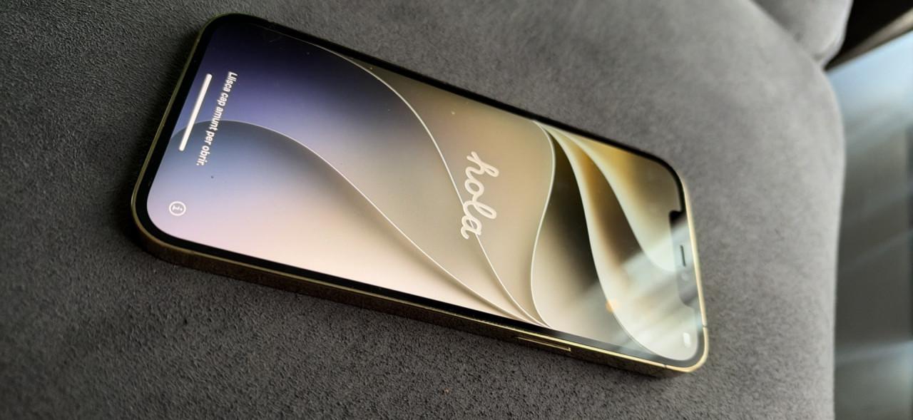 Apple iPhone 12 Pro Max