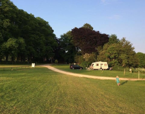 Kip touring 40 met mover en accessoires