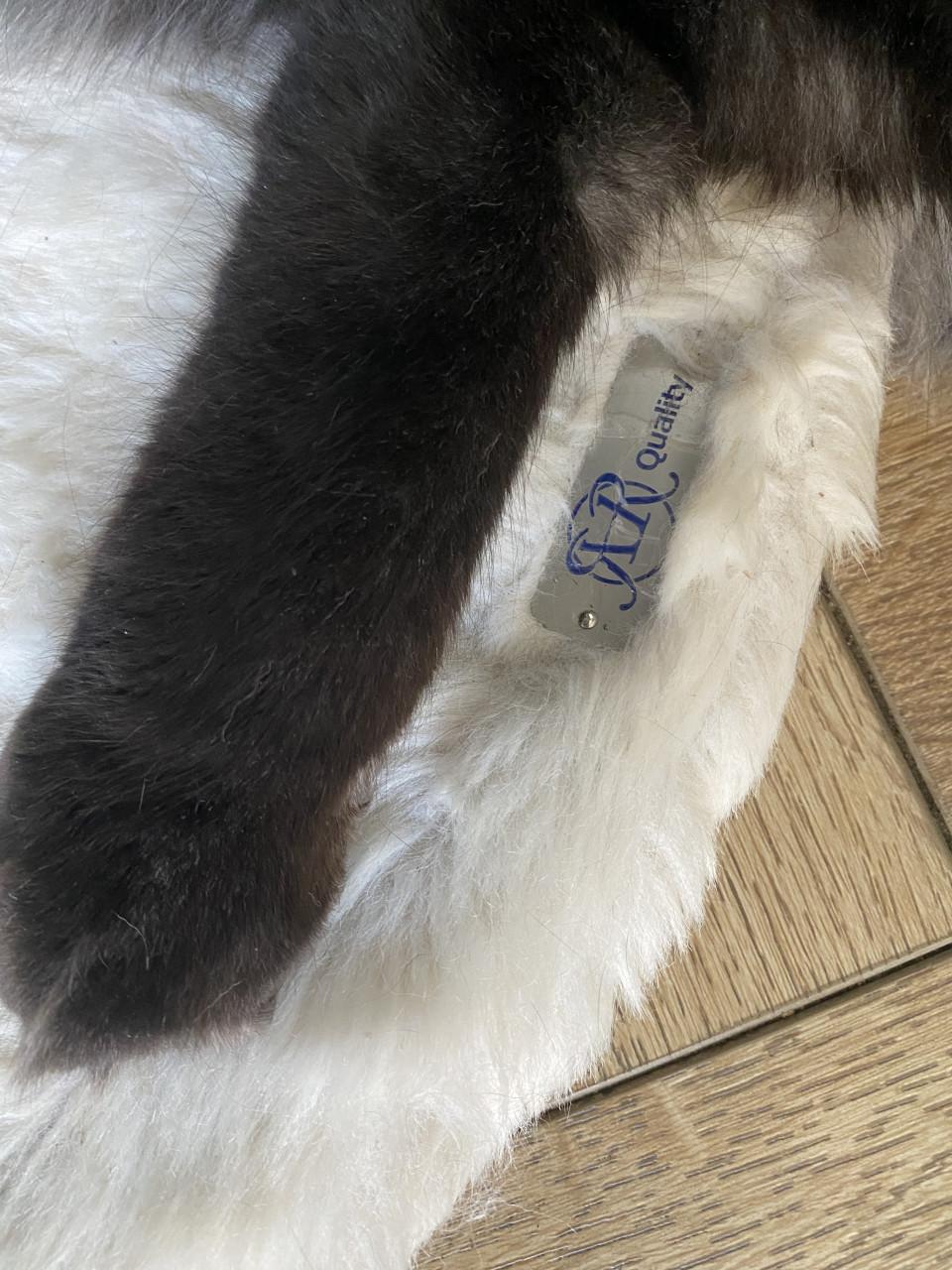Krabpaal kat