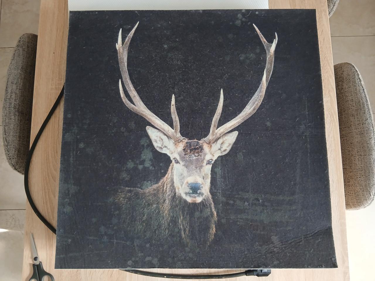 Inventum inductiekookplaat losstaand 220v