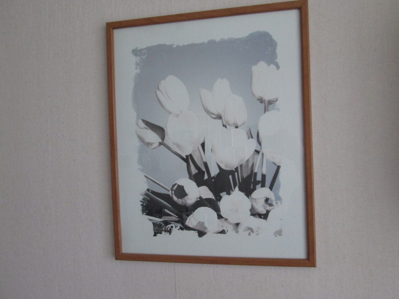Set lijsten met bloemen