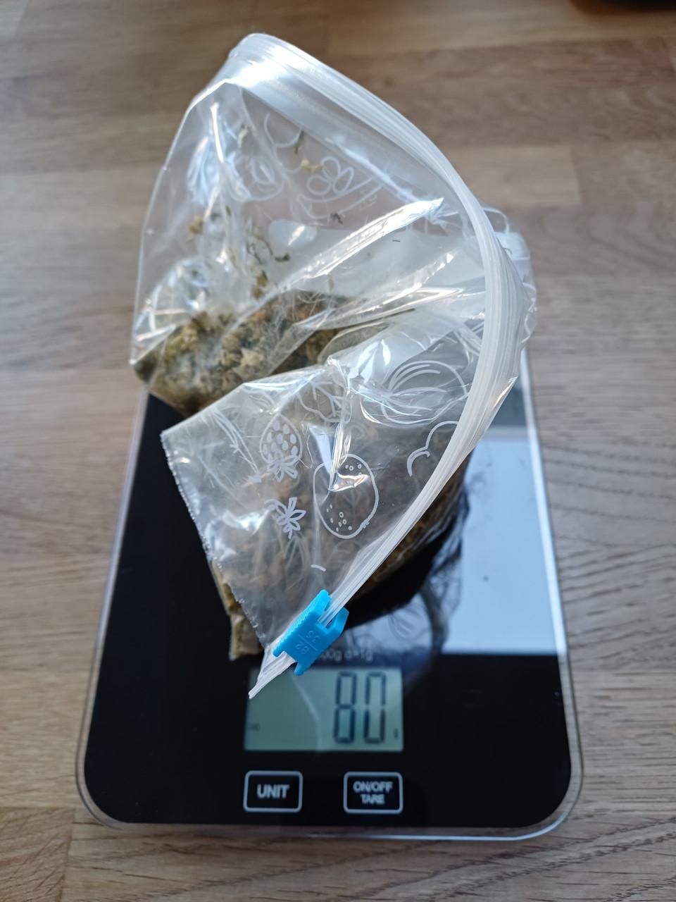 Organimal DARMKRUIDEN HOND (80 gram) + SPEELTJE met PIEP