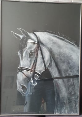 Tekeningen paarden