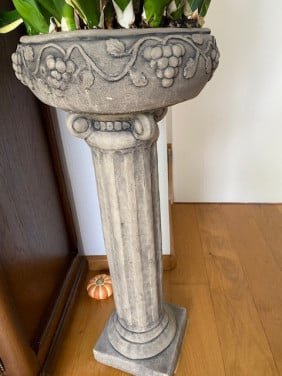 Stenen zuil met vrouwentongen (sanseveria's)