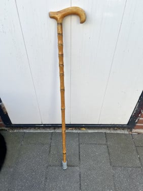 Wandelstok