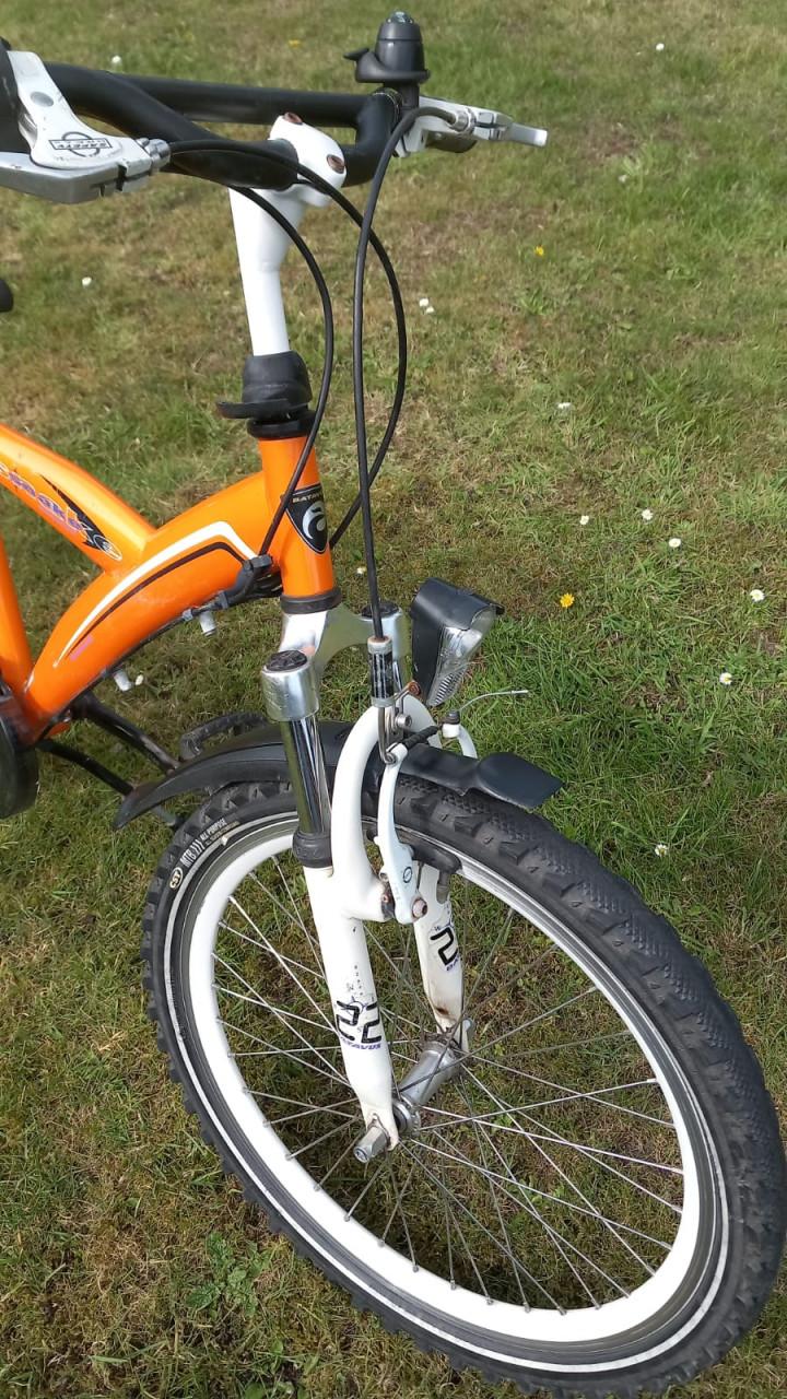 Batavus Snake 22 inch