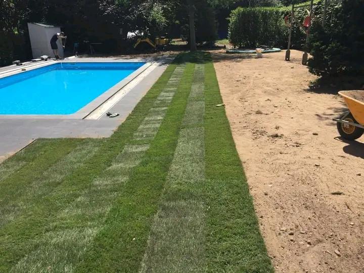 Tuinaanleg & Tuinonderhoud Reimerswaal