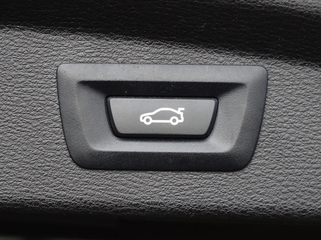 BMW X2 sdrive20i high executive | hud | camera | afn. trekhaak | 19"