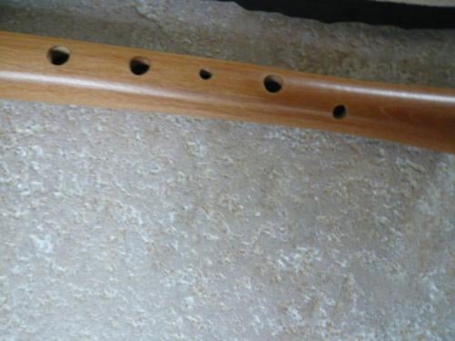 2 Z.G.A.N. BLOKFLUITEN AURA EN ZAMIR MET HOES