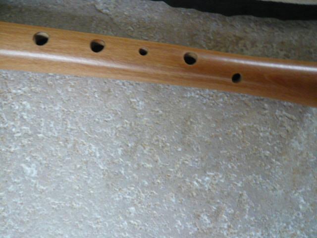 2 Z.G.A.N. BLOKFLUITEN AURA EN ZAMIR MET HOES