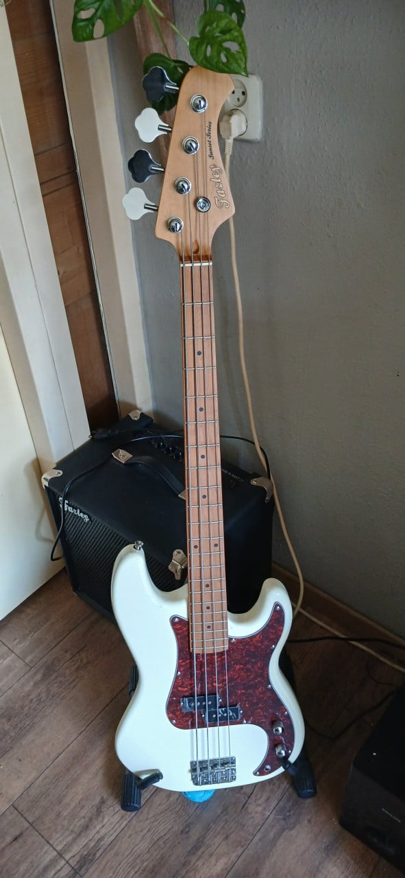 Basgitaar