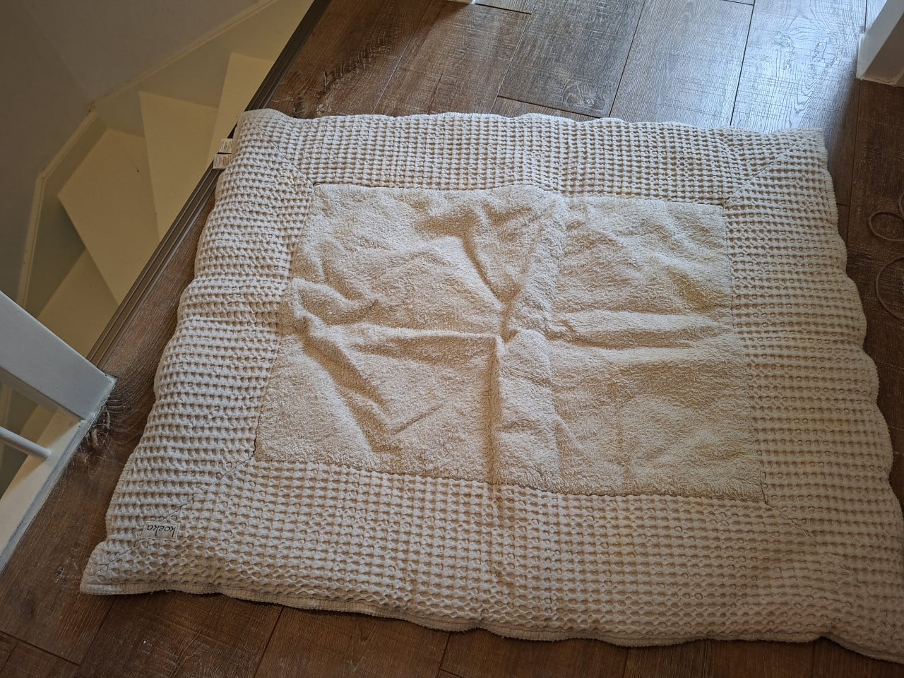 Boxkleed