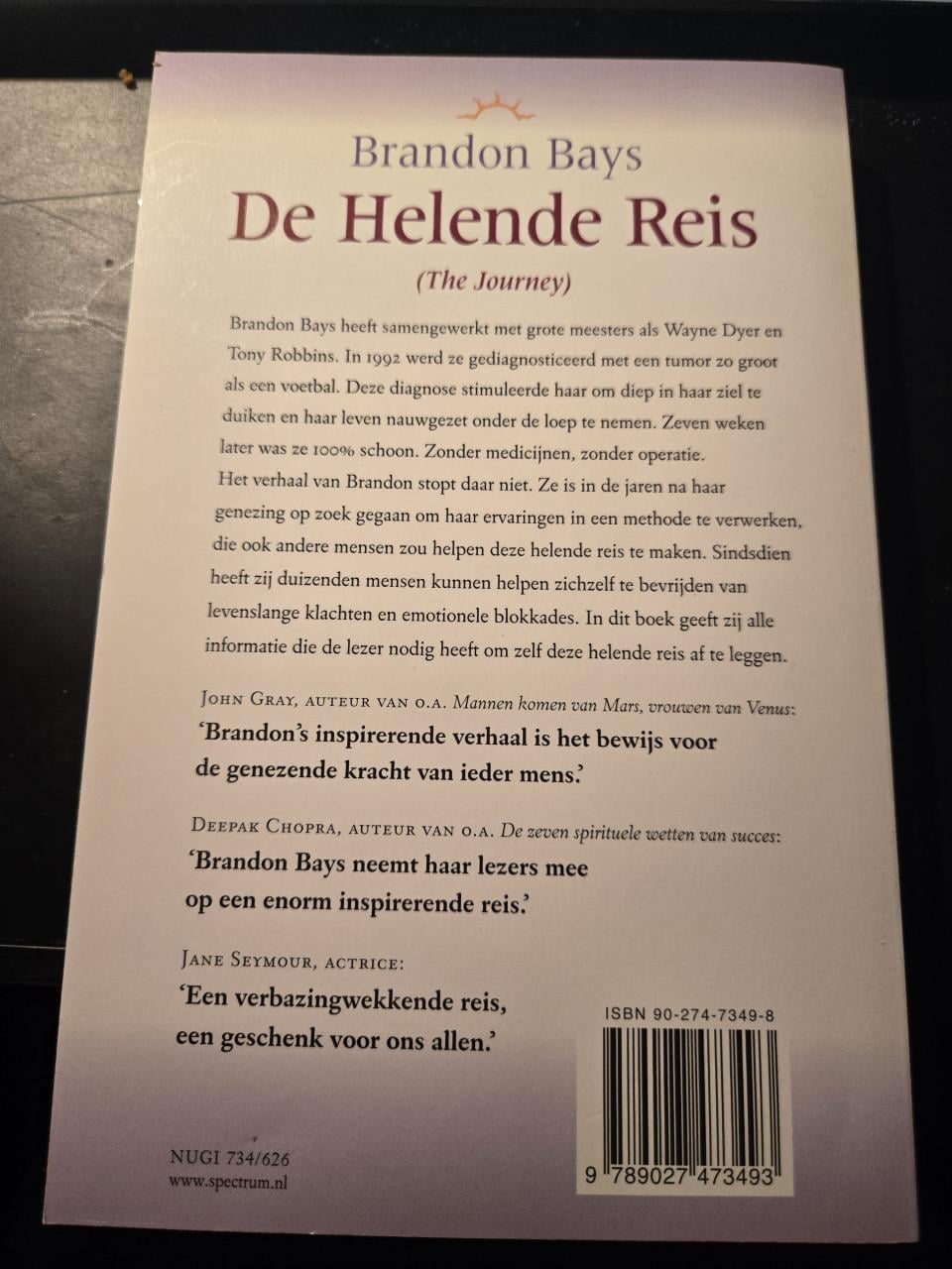 Boek: De Helende Reis (The Journey) 2e druk 2002 van auteur Brandon Bays,