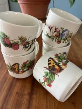 Mokken Marjolein Bastin
